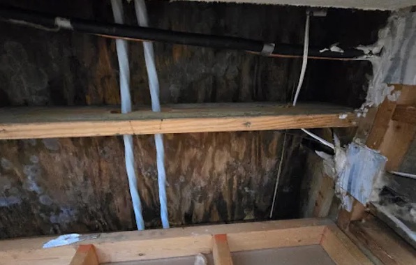 Roof Leak Repair & Water Damage Mitigation in Bellevue, WA