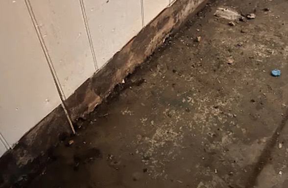 Sewage Backup Cleanup & Sanitation in Baytown, TX