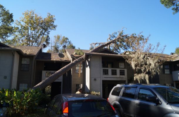 Storm Damage Restoration Renton, Washington